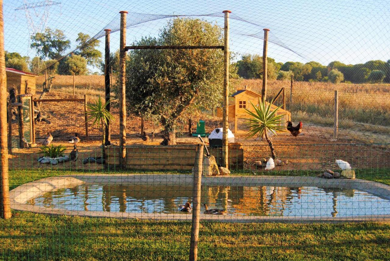 Monte D'vagar By Estilo Lusitano, Com Piscina Privada Villa Grandola