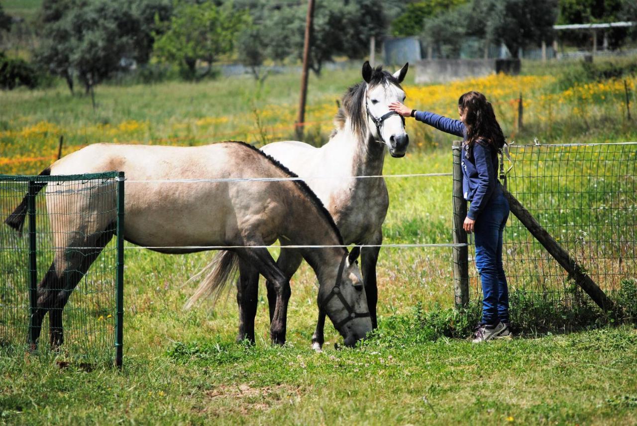 Monte D'vagar By Estilo Lusitano, Com Piscina Privada